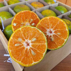 ข้อมูลโภชนาการผลไม้สีส้มและข้อดีด้านสุขภาพ